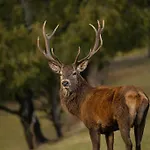 Hébergement de vacances La Harde 31 Pers Malmedy, Vue, Wellness, Jardin
