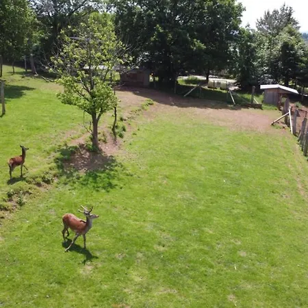 La Harde 31 Pers Malmedy, Vue, Wellness, Jardin * Malmedy